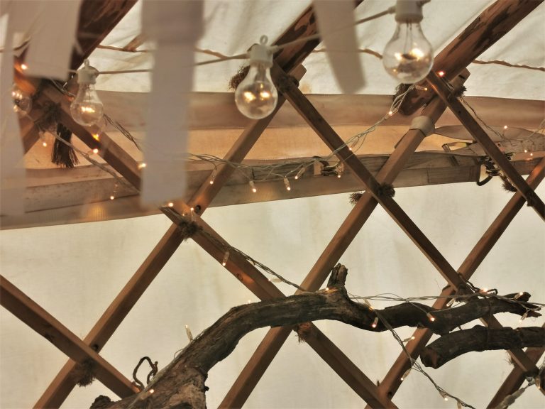 Festoon and Fairy lighting